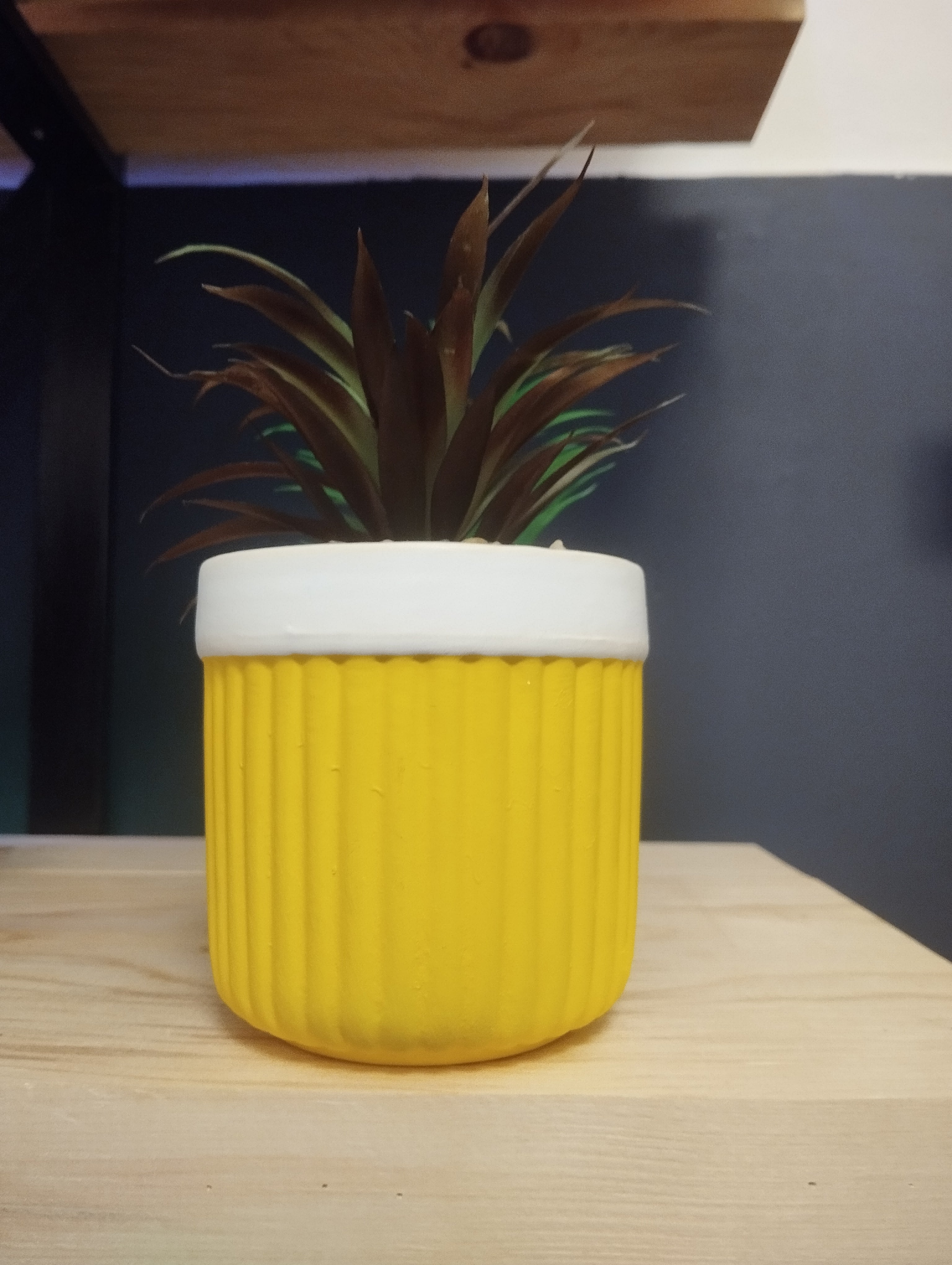 Mini Piante Color Vibes – Un Tocco di Natura e Allegria in Ogni Spazio! 🌈🌿